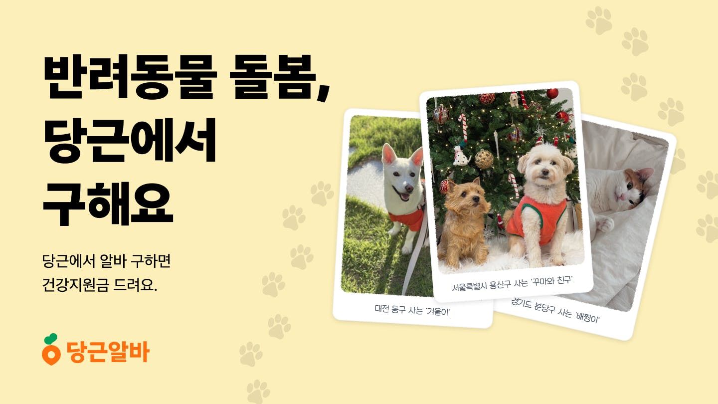 당근알바, 반려동물 돌봄 알바 프로모션 진행